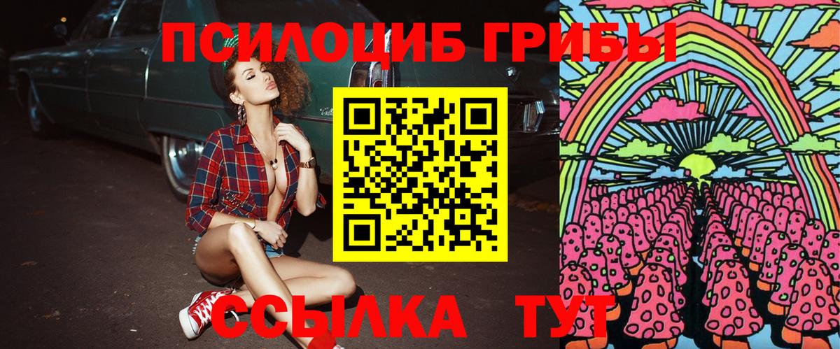Галлюциногенные грибы Magic Shrooms  Псилоцибиновые грибы Psilocybine cubensis  Жигулёвск  Вход с VPN 