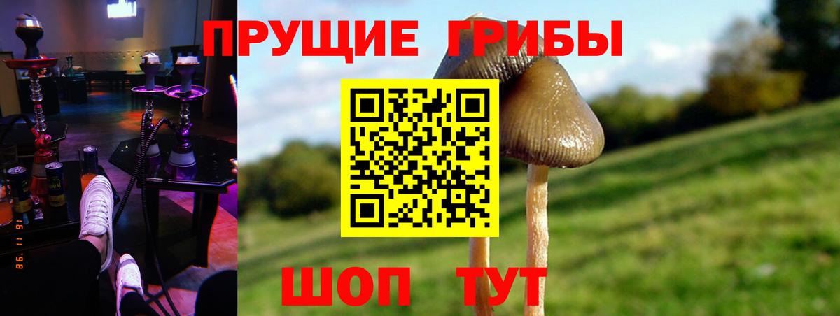 Галлюциногенные грибы Cubensis Жигулёвск